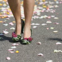 Blumen Schuhe Auf Rosen