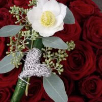 Trauer Rote Rosen Christrose